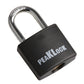 PLA0101 Cadenas en aluminium recouvert de noir résistant aux intempéries, à clés identiques, 1-3/16" de large - Caisse de 288